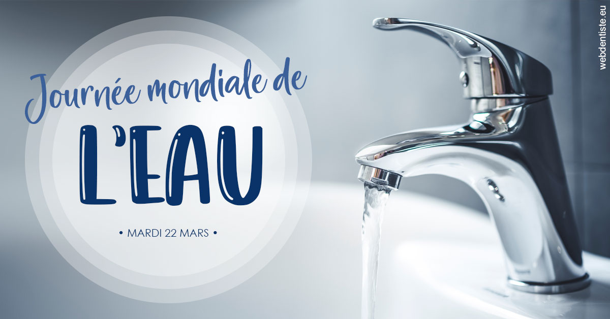 https://www.cabinet-dentaire-hollender-raybaut.fr/La journée de l'eau 2