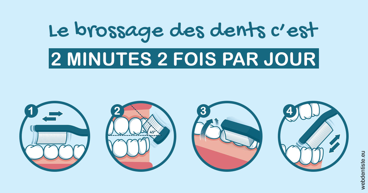 https://www.cabinet-dentaire-hollender-raybaut.fr/Les techniques de brossage des dents 1