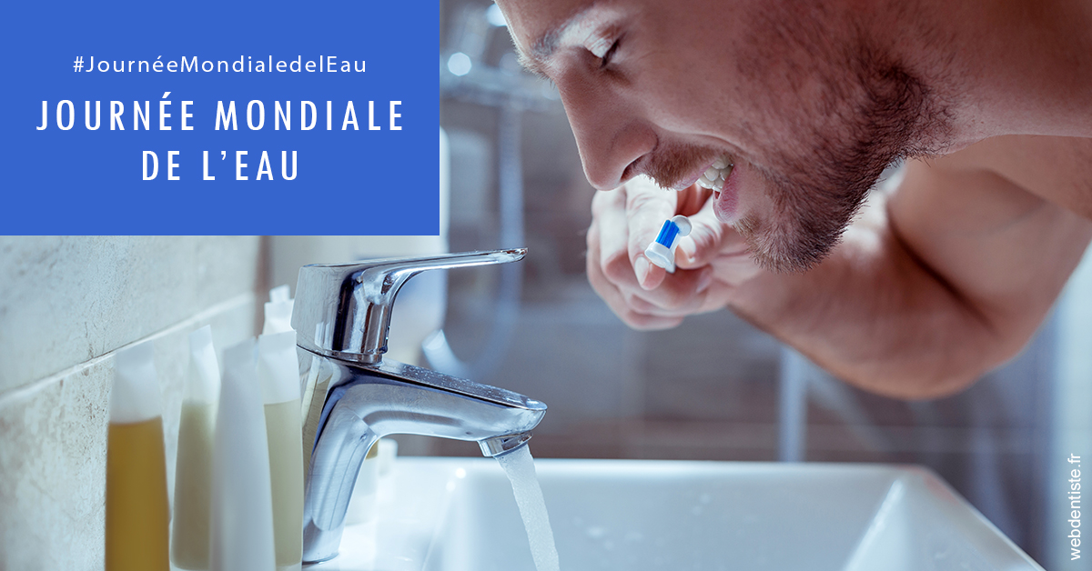 https://www.cabinet-dentaire-hollender-raybaut.fr/Journée de l'eau 2