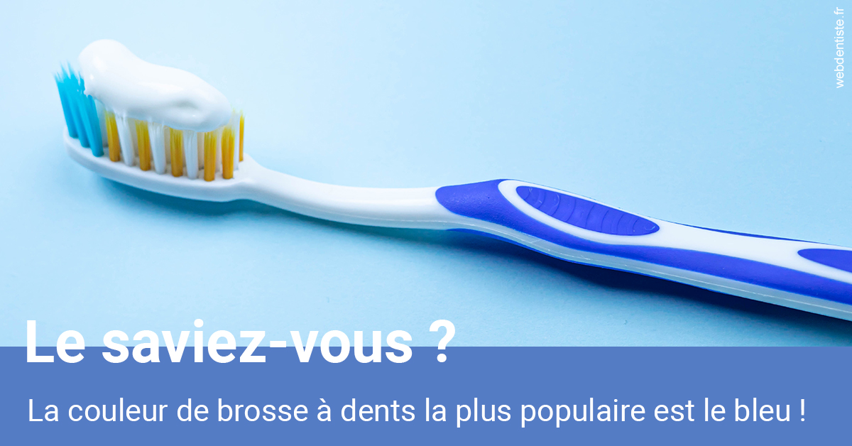 https://www.cabinet-dentaire-hollender-raybaut.fr/Couleur de brosse à dents