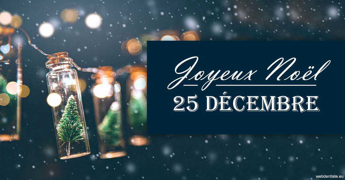 https://www.cabinet-dentaire-hollender-raybaut.fr/2023 T4 - Joyeux Noël 01