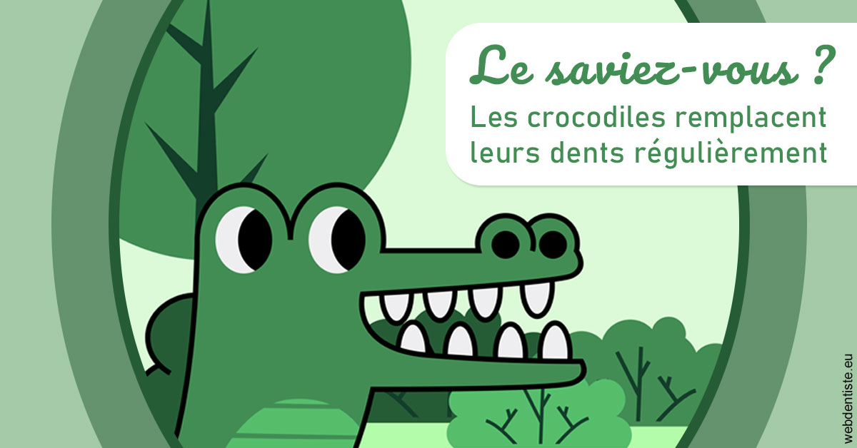 https://www.cabinet-dentaire-hollender-raybaut.fr/Crocodiles 2