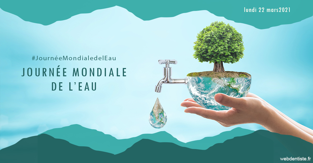 https://www.cabinet-dentaire-hollender-raybaut.fr/Journée de l'eau 1