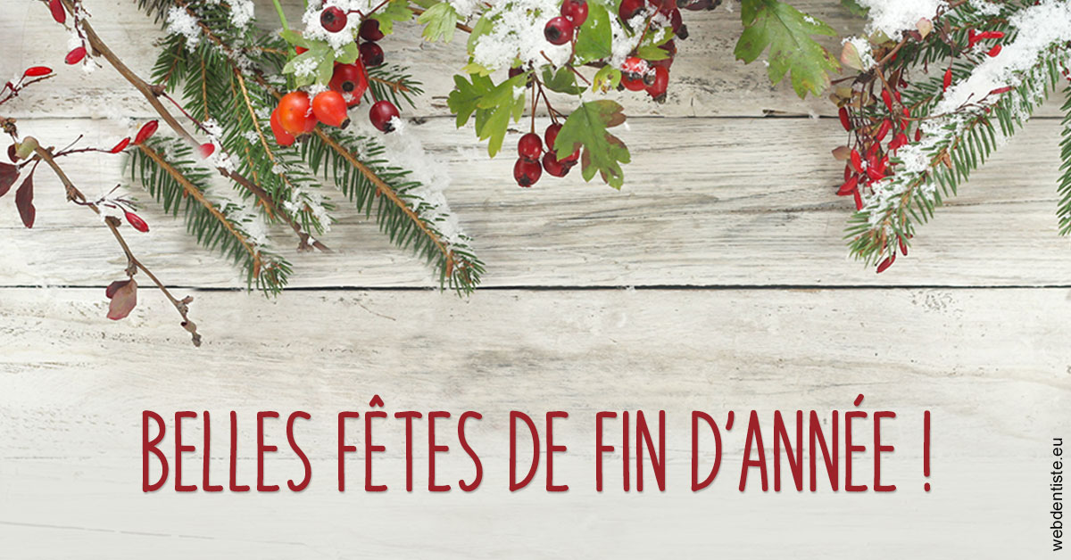 https://www.cabinet-dentaire-hollender-raybaut.fr/Joyeux Noël 2