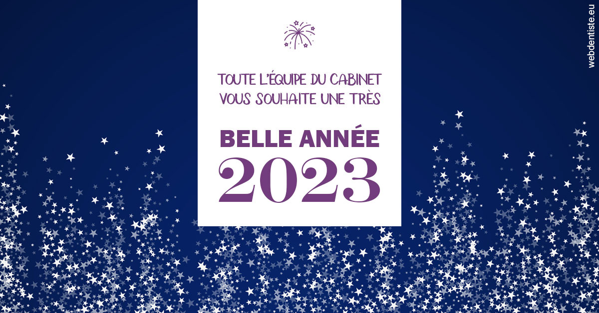 https://www.cabinet-dentaire-hollender-raybaut.fr/Bonne année 2023 2