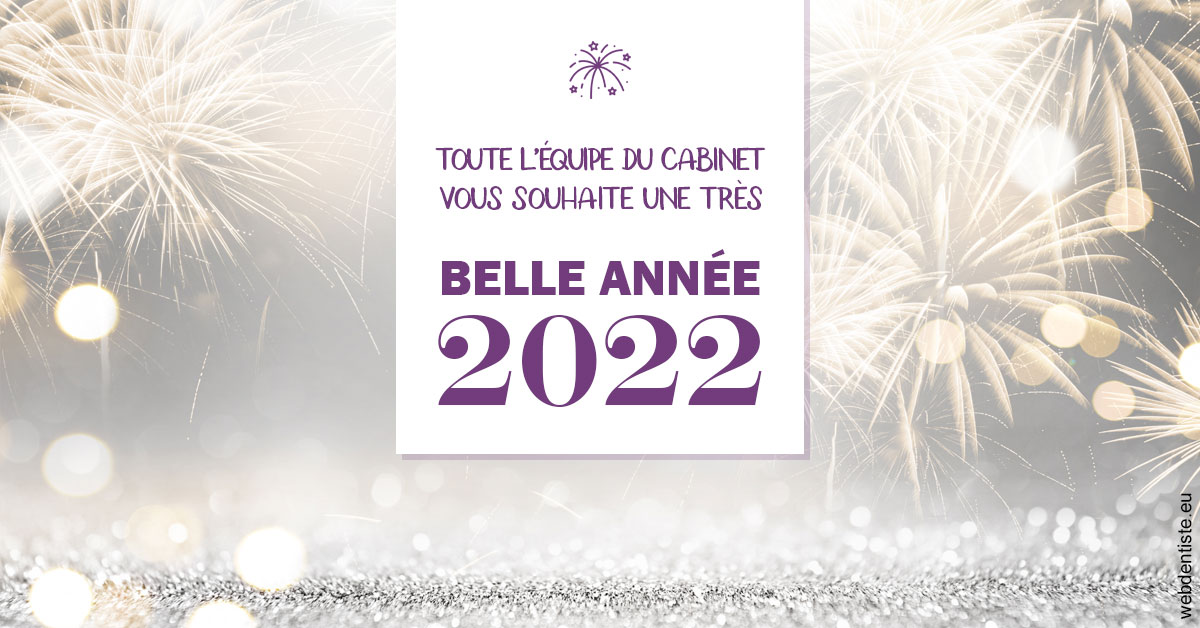 https://www.cabinet-dentaire-hollender-raybaut.fr/Belle Année 2022 2