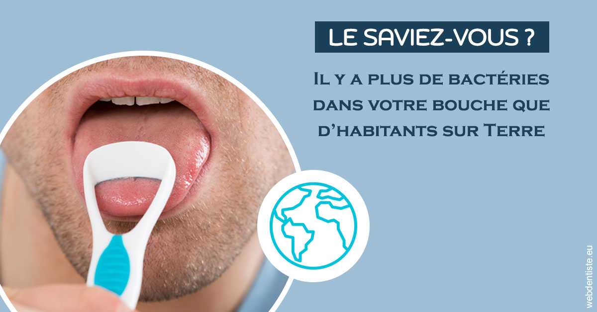 https://www.cabinet-dentaire-hollender-raybaut.fr/Bactéries dans votre bouche 2