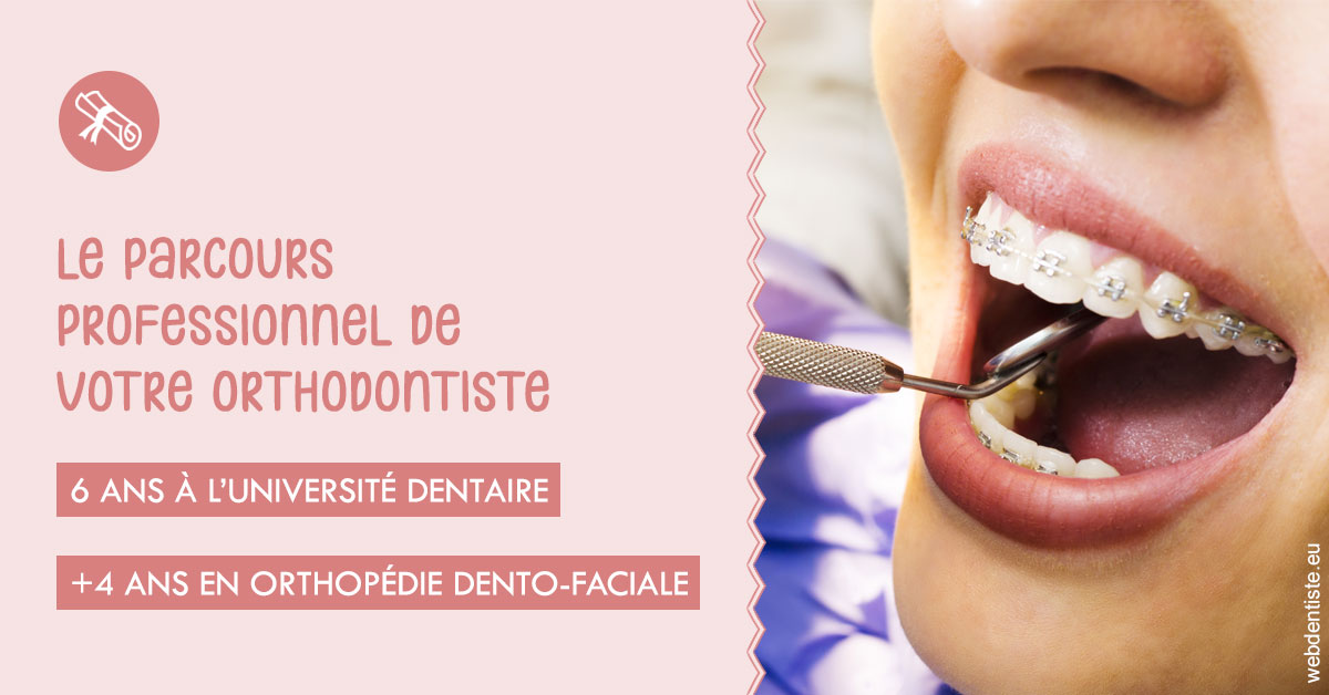 https://www.cabinet-dentaire-hollender-raybaut.fr/Parcours professionnel ortho 1