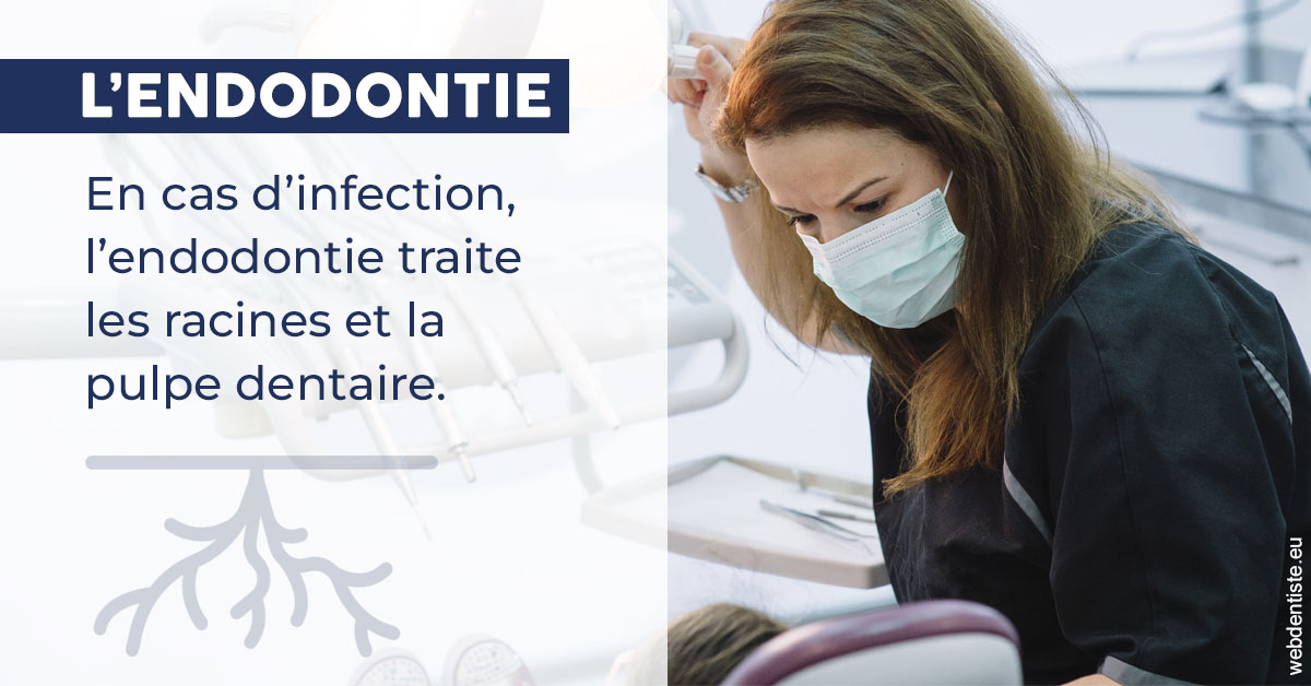 https://www.cabinet-dentaire-hollender-raybaut.fr/L'endodontie 1
