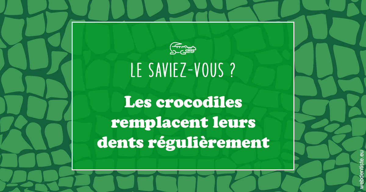 https://www.cabinet-dentaire-hollender-raybaut.fr/Crocodiles 1